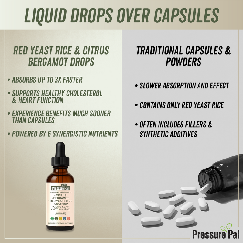 6 Powerful Ingredients In Every Drop: Natural Support for Healthy Cholesterol